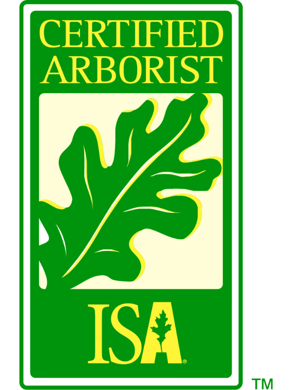 ISA certified arborist in Villa Grove, Illinois; arborist in St. Joseph, IL; arborist in Philo, Illinois