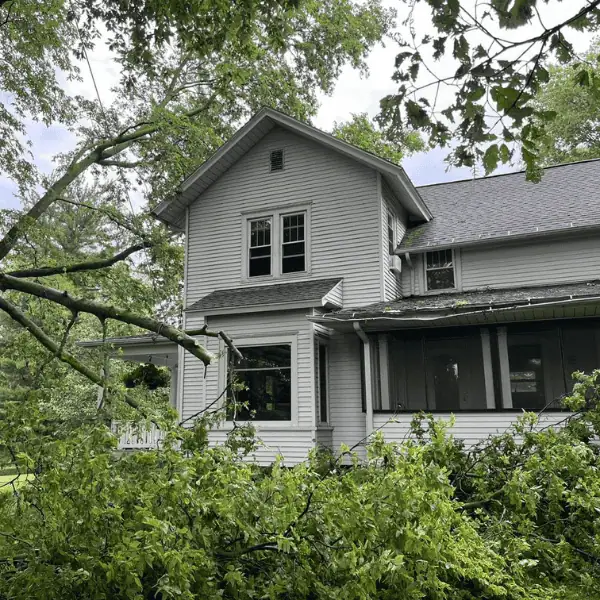 Stress Free Emergency Tree Removal
