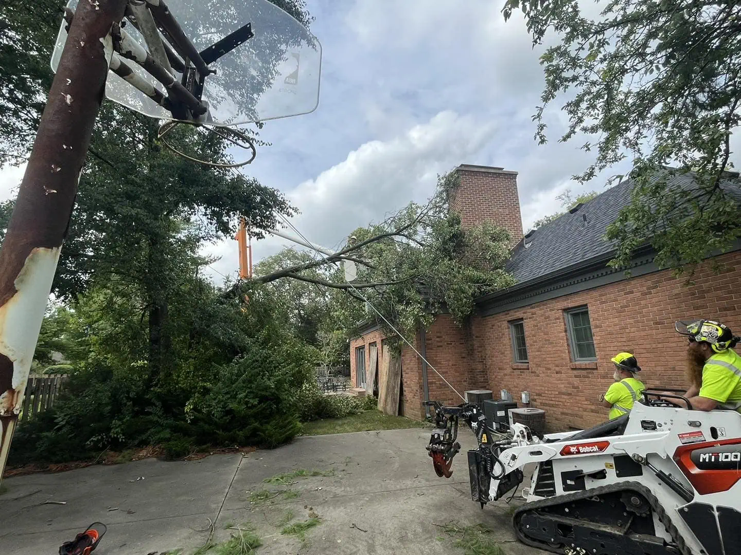 Emergency tree removal from home in Champaign-Urbana IL with debris cleanup