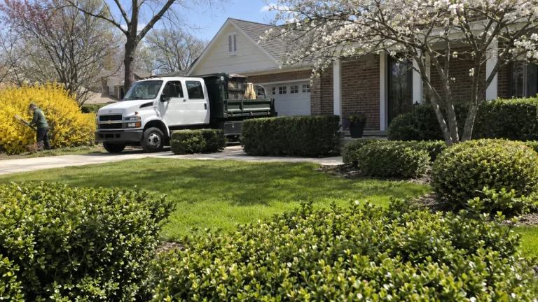 Shrub and Hedge Trimming in Champaign-Urbana, IL | Beez Trees