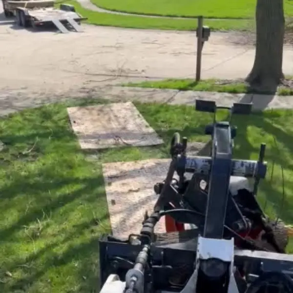 Beez Trees Equipment